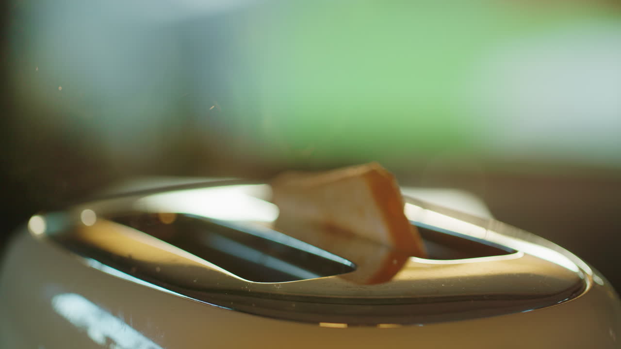 토스터 밖으로 어진  조각이 날아옵니다.