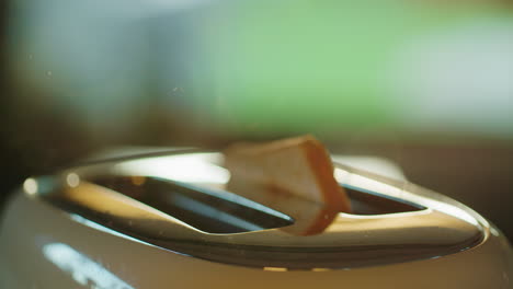 chunks of toasted bread fly out of the toaster