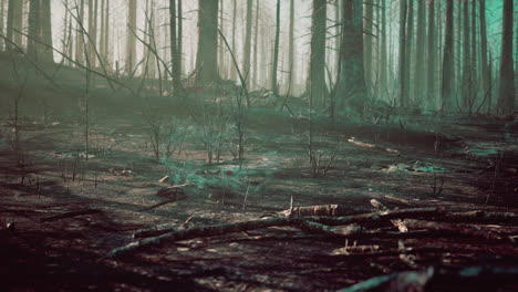 Waldbrand-Und-Umgestürzter-Baum-Werden-Mit-Viel-Rauch-Bis-Auf-Die-Grundmauern-Niedergebrannt