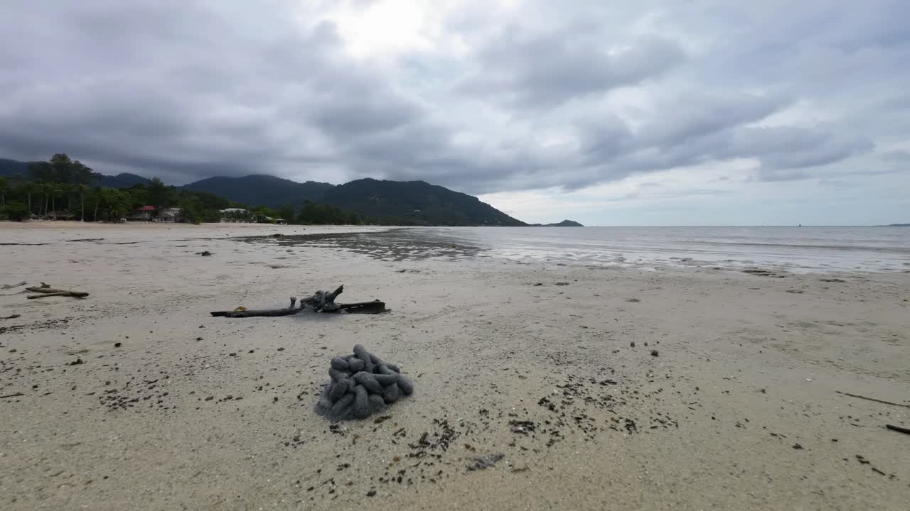Time lapse video of marine worms leaving sand poop hills on a tropical beach in Koh Phangan Thailand during low tide, showing unique coastal patterns and natural ecosystem