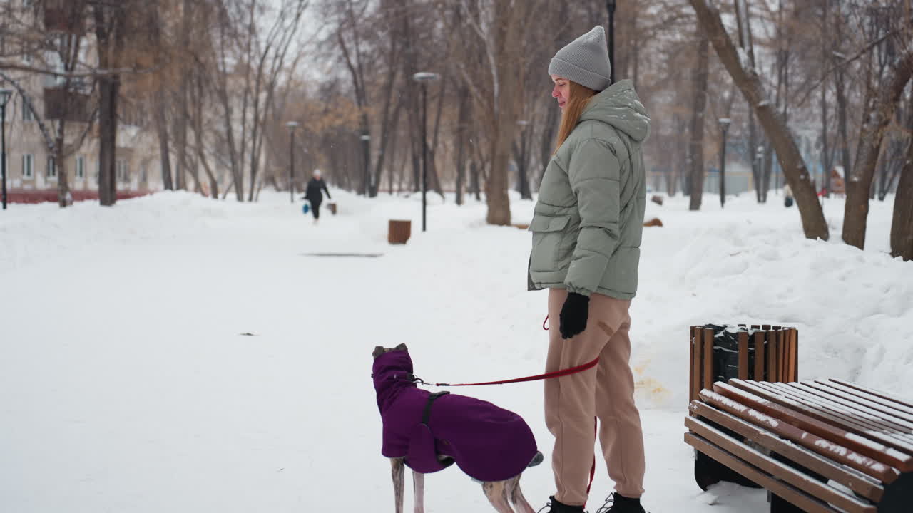 Dog wearing purple coat stands beside person holding red leash during snowy winter walk in park, with benches and buildings in background, trees bare, snow piled, overcast atmosphere, calm quiet scene