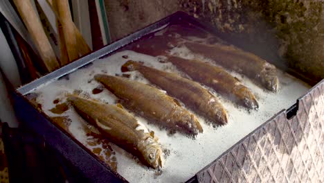 Trout-fishes-fried-in-home-made-griddle-full-of-oil-for-family-picnic