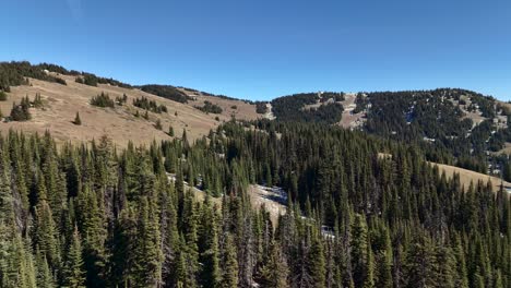 sun peaks forests: a drone's eye view of a summertime wonderland