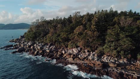 jungle forest coastline, blue ocean