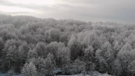 Escarcha-En-La-Vista-Aérea-De-Las-Copas-De-Los-árboles,-Paisaje-Invernal,-Maravillosa-Escena-Invernal