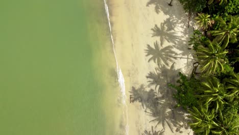 hermosa vista cenital de la costa del pacífico