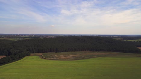 Summer-Day-rural-area,-green-maize-lush-field,-forest