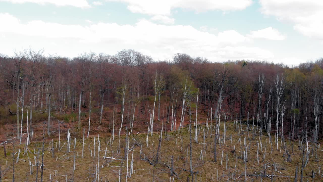 Amber Mountain Sanctuary  in Lublewo GdaÅ„skie, Poland