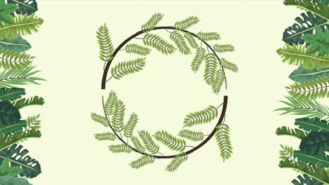 tropical exotics leafs ecology animation wreath crown in green background