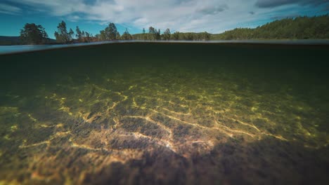 el sol brilla a través de las aguas poco profundas lanzando llamaradas en el fondo arenoso