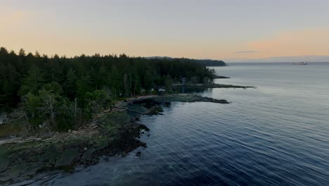 Naturaleza-Pacífica-Con-Bosques-De-Pinos-Costeros-En-La-Isla-De-Protección-En-Nanaimo,-Canadá