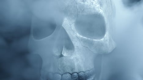 spooky skull in smoky fog