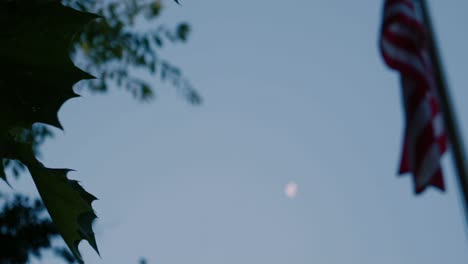 sliding shot of flag leaves and moon