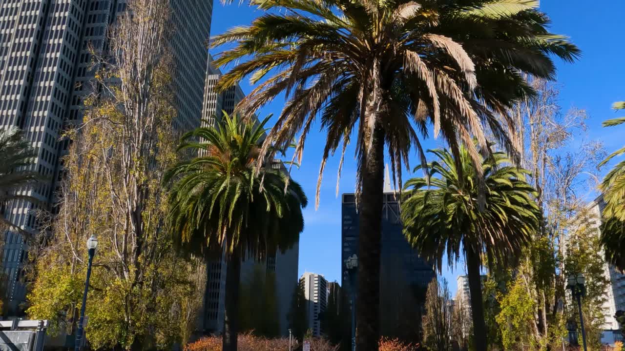 edificios del centro de embarcadero y la plaza marítima, san francisco, ca, estados unidos, vista desde un vehículo en movimiento