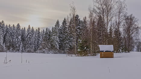 Sauna-De-Tina-De-Madera-Térmica-Sostenible-Y-Ecológica-En-Medio-De-Bosques-De-Invierno