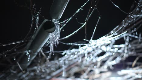 Macro-Shot-Of-Frozen-Tree-Branches-And-Twigs-At-Night-With-Defrosting-Ice-Dripping