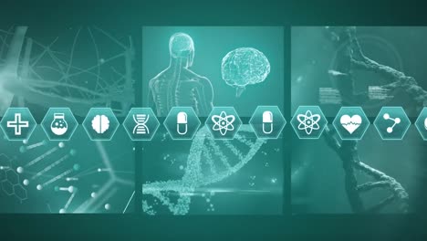 Digitally-generated-video-of-medical-icons-and-data-processing