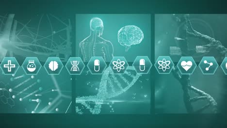 vídeo generado digitalmente de iconos médicos y procesamiento de datos