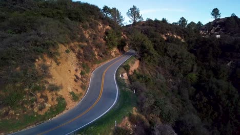 tree tunnel on mountain road along steep cliff at dawn, drone dolly in