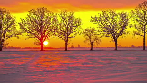 Golden-sunrise-time-lapse-over-snow-ground-rural-area-with-trees