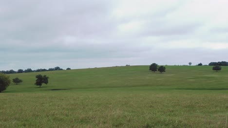 Offene-Wiese-An-Einem-Bewölkten-Tag