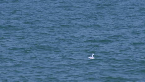 Plastic-Trash-Bag-in-the-Sea