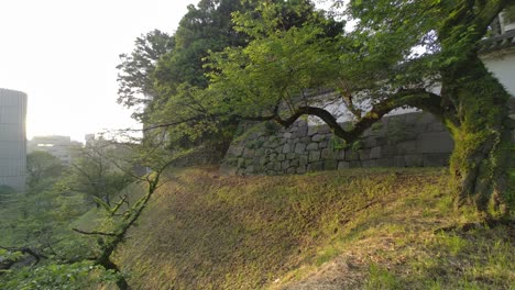 tokyo chidorigafuchi temprano en la mañana de 2022