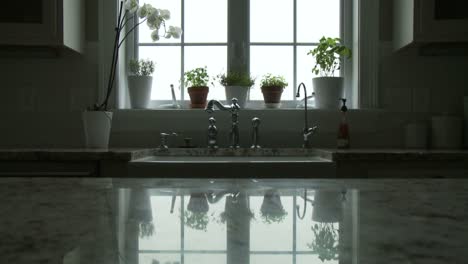 potted plants adorn a window and are reflected in the countertop in a kitchen
