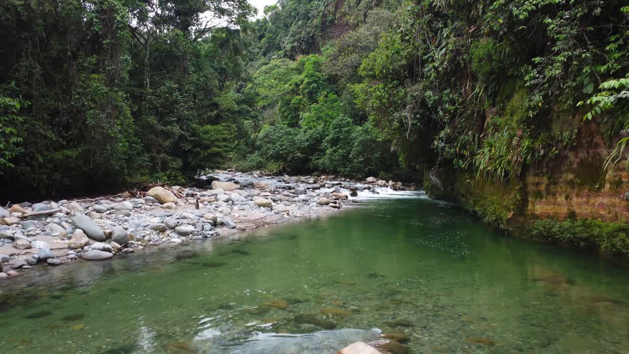 Carrellata in avanti su un fiume incontaminato circondato dalla lussureggiante foresta pluviale amazzonica, Ecuador.