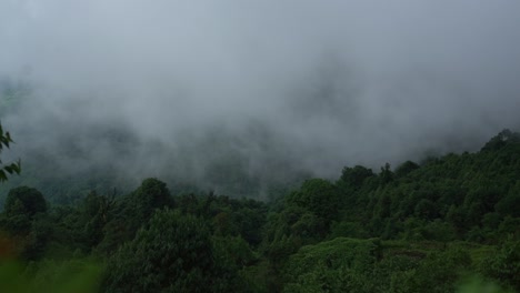 day timelapse of thick-dense fog movement over a jungle on a hill in eastern nepal