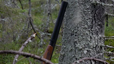 gun leaning against tree in green forest, upwards tilt shot