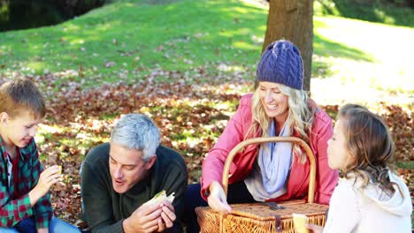 Family-having-picnic-in-the-park