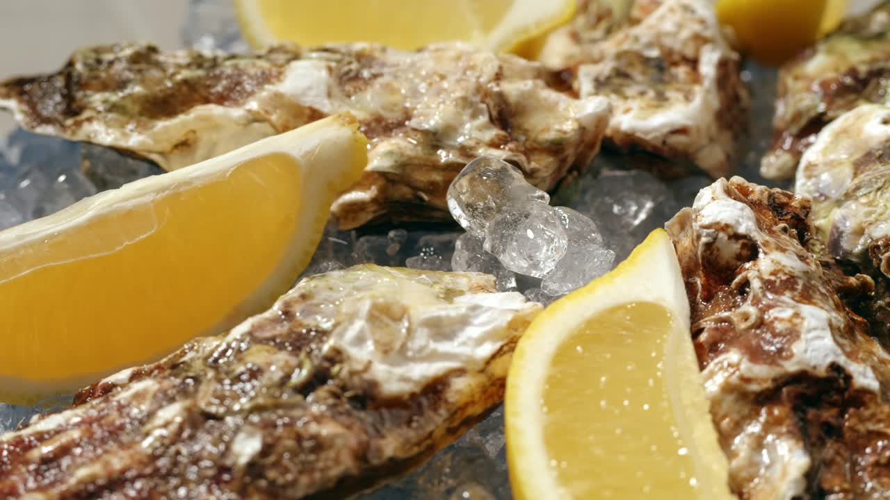 Fresh Oysters on Ice with Lemon