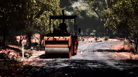 road roller tractor in the forest