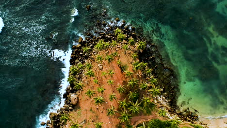 Antena-De-La-Colina-Del-árbol-De-Coco,-Palmeras-Aisladas