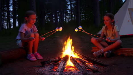 two girls roasting marshmallows over a campfire at night