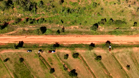 top down drone view over tractors hauling crops from farm land next to dirt road