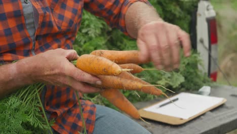 mature man working on farm