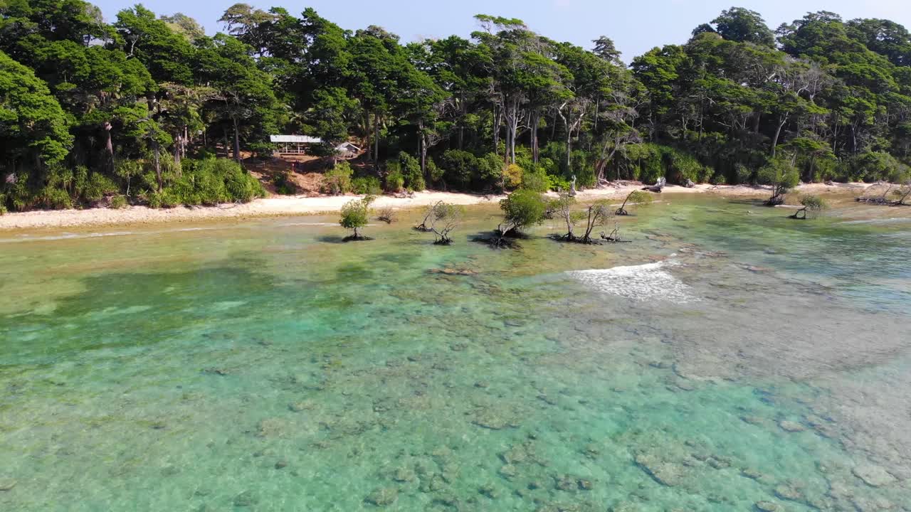 un dron giratorio disparó alrededor de la playa de un lugar remoto de andaman con arrecifes de manglares y agua turquesa del océano y algunas olas pequeñas con bosque directamente en la playa
