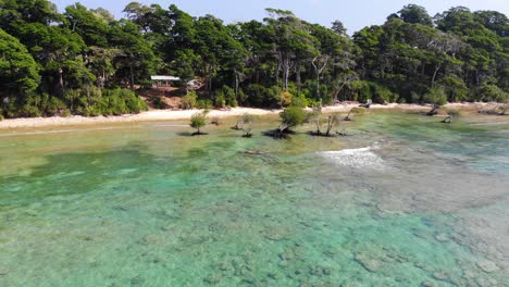 Rotating-drone-shot-around-the-beach-of-a-remote-andaman-location-with-mangrove-trees-reefs-and-turquoise-ocean-water-and-some-small-waves-with-forest-directly-on-the-beach