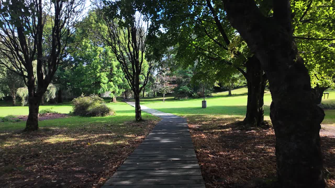 Peaceful park scene with a wooden boardwalk winding through trees and sunlit grass