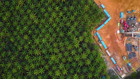 cinematic 4k drone footage of onshore drilling rig equipment structure for oil exploration and exploitation in the middle of jungle surrounded by palm oil trees during sunset and high oil price