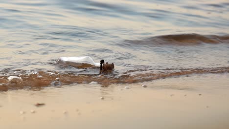 Message-in-the-bottle-against-the-Sun-setting-down