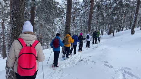 snow rackets hiker guide and group in snowy mountain forest scenery