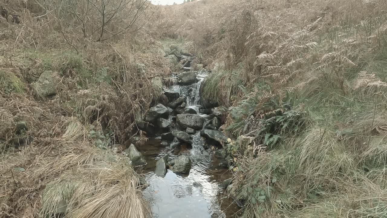 Scena monocromatica con un piccolo ruscello che scorre attraverso la brughiera campestre