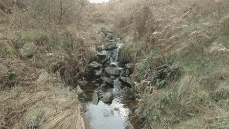 Monochromatic-scene-with-small-brook-flowing-through-countryside-heath