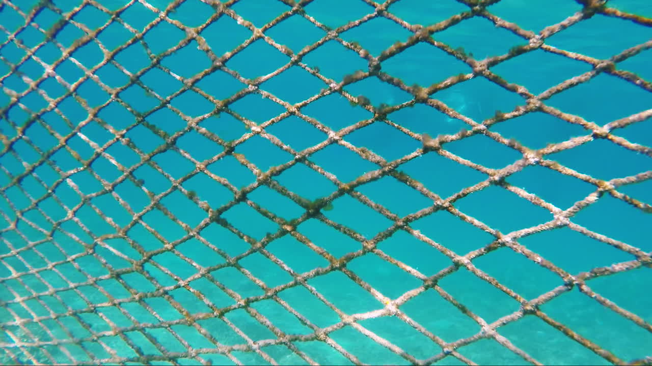 síť pro ochranu mořského pobřeží před mořskými rybami