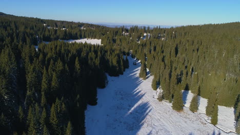 Antenne:-Fliegen-über-Einem-Bergigen-Gebiet,-Das-Mit-Schnee-Und-Wäldern-Bedeckt-Ist