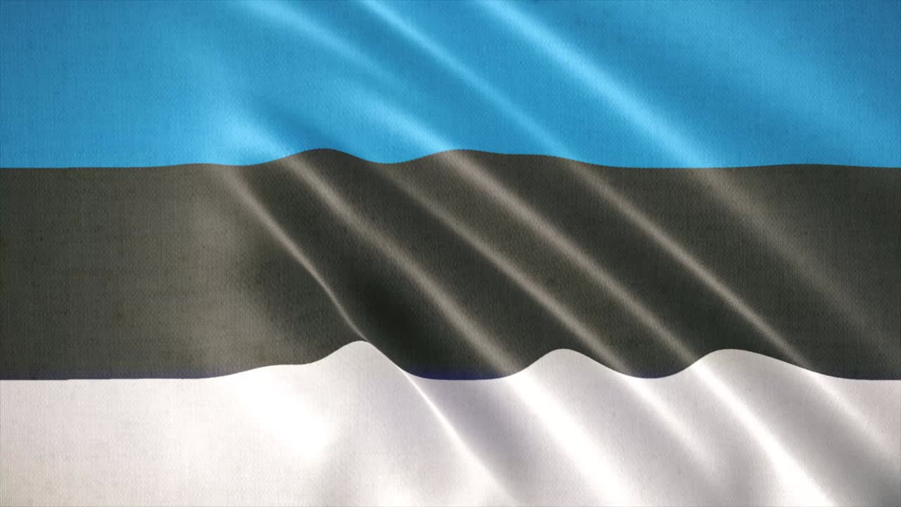 에스토니아의 현실적인 흔들리는 발, 발 배경 애니메이션