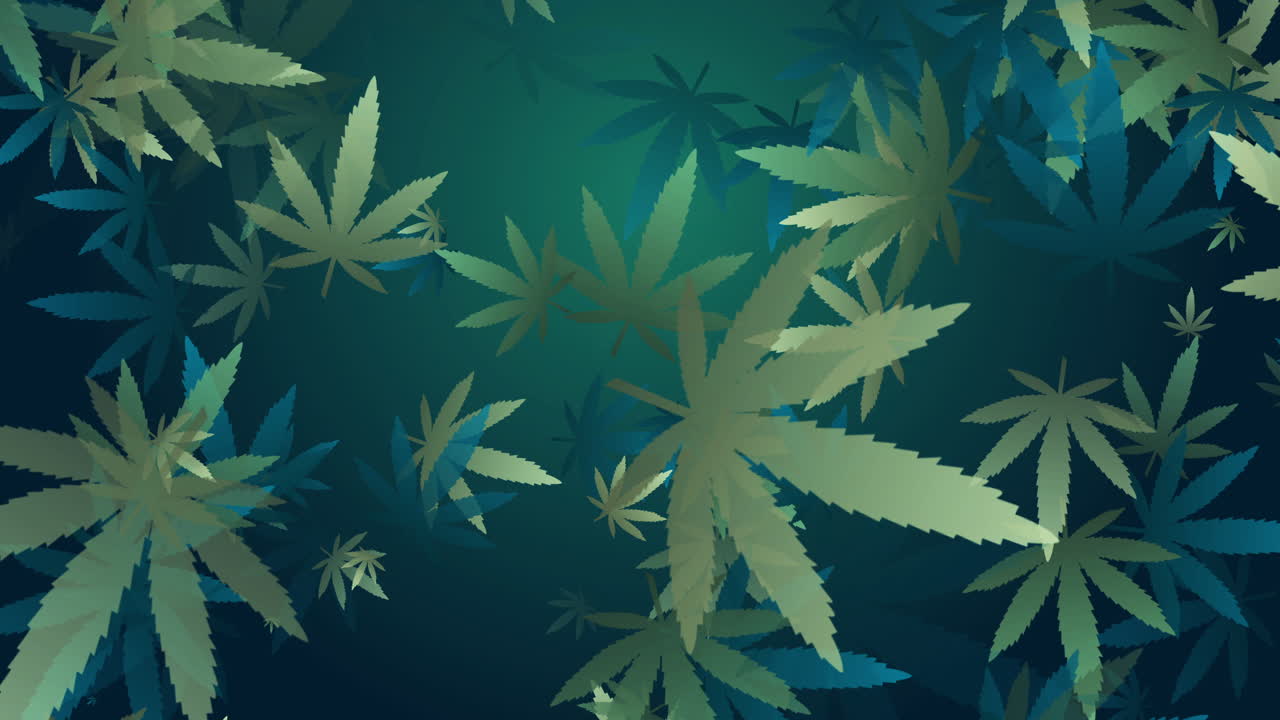 Animated plant looped green background with falling marijuana leaves. Abstract motion graphics.